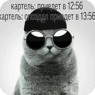 🫥 картель: приедет в 12:56
картель: опоздал приедет в 13:56
Чипсы: съедены
кот: крутой chat, mème, drôle, texte, russe, cool, chips telegram sticker