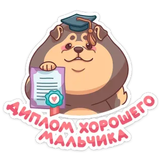 👩‍🎓 ДИПЛОМ ХОРОШЕГО МАЛЬЧИКА chó, tốt nghiệp, bằng tốt nghiệp, dễ thương, hoạt hình, nga, bé ngoan telegram sticker