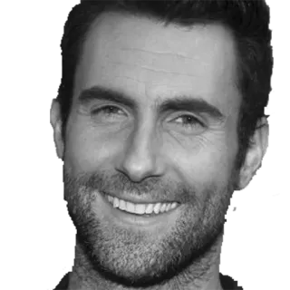 😄 Adam Levine Адам Левин, Maroon 5, певец, знаменитость, музыка, портрет whatsapp sticker