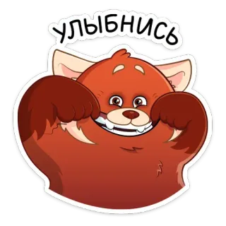 😄 Улыбнись แพนด้าแดง, ยิ้ม, น่ารัก, การ์ตูน, สัตว์, มีความสุข telegram sticker