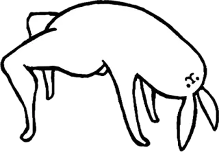 🐰 animal, conejito, conejo, dibujos animados, divertido, lindo telegram sticker
