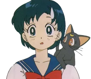 😥 Ami Mizuno Sailor Moon อนิเมะ, เซเลอร์มูน, มิซุโนะ อามิ, เซเลอร์เมอร์คิวรี่, ลูน่า, แมว telegram sticker