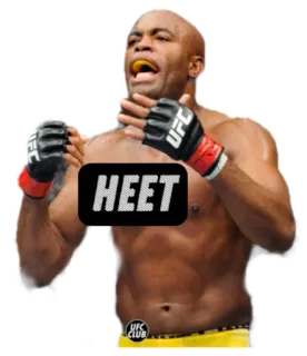 🚫 HEET นักสู้, mma, กีฬา, มวย, ufc telegram sticker