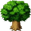 🌳