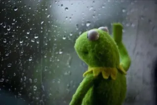 😞 Kermit Ếch Kermit, Muppets, mưa, cửa sổ, buồn, cô đơn telegram sticker