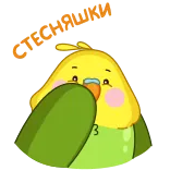 ☺️ OMG bird, animal, cute, parrot, green, yellow, omg telegram sticker