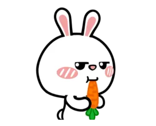 🥕 conejo, conejito, zanahoria, lindo, animal, dibujos animados whatsapp sticker