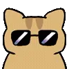 😎