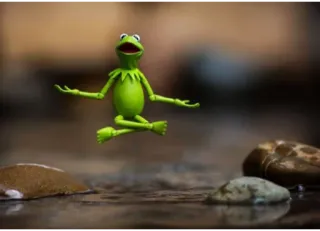 🙏 Kermit rana, meditazione, verde, zen, muppet telegram sticker
