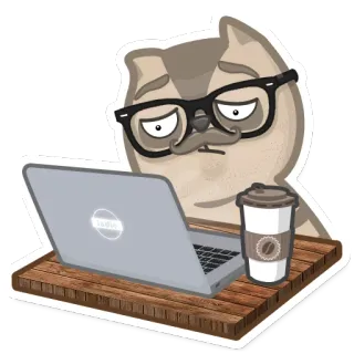 😵 LOL kat, computer, koffie, bureau, bril, sticker telegram sticker