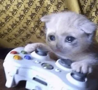 😩 猫, 子猫, ゲーム, コントローラー, 泣く, 悲しい, 遊ぶ telegram sticker