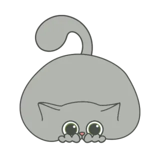 😶 고양이, 귀여운, 스티커, 새끼고양이, 사랑스러운, 장난기 있는 telegram sticker
