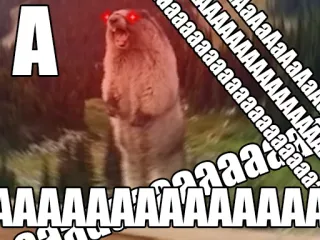 😡 Aaaaaaaaaa meme, animal, humor, scream, funny, beaver telegram sticker
