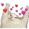 🐱