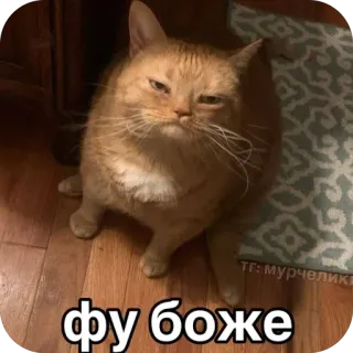 Больше стиков тут: @stikery4 telegram stickers