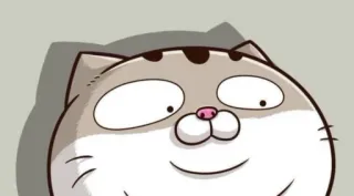 😠 Katze, Tier, Sticker, Cartoon, süß, fröhlich telegram sticker