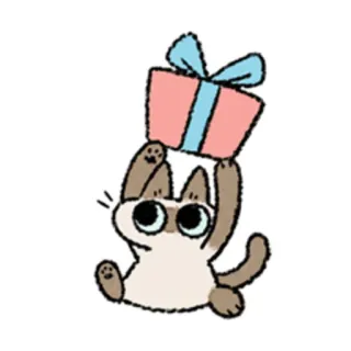 🎁 cat, present, gift, animal, cute, cartoon telegram sticker