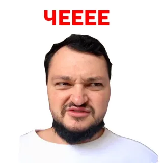 🤨 ЧЕЕЕЕ telegram sticker