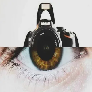 😘 Nikon photography, camera, eye, vision, nikon, lens, creative, perception, shutter telegram sticker