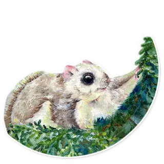 🌲 ステッカー, モモンガ, 動物, 自然, かわいい whatsapp sticker