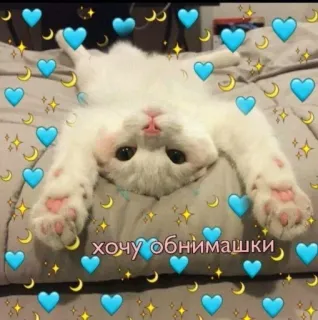 💙 хочу обнимашки kot, uroczy, serca, gwiazdy, kociak whatsapp sticker