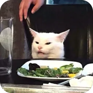 😡 cat, meme, salad, dinner, white cat, animal, food telegram sticker