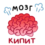 Фразеологизмы @stickers_max whatsapp stickers