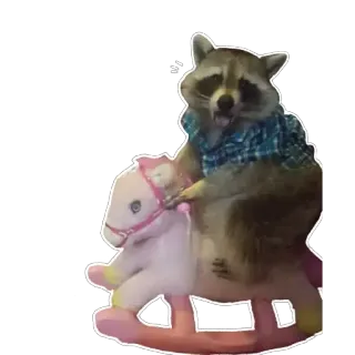 Habēmus más Raccoon telegram stickers