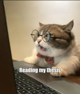 🤔 Reading my thesis chat, thèse, lecture, ordinateur portable, lunettes, nœud papillon, animal telegram sticker