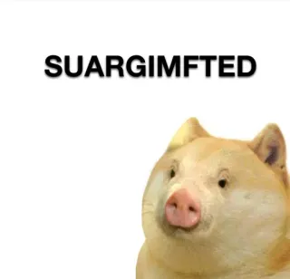 🐷 SUARGIMFTED cochon, doge, mème, drôle whatsapp sticker
