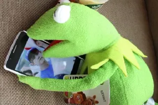 👸 Kermit Кермит Лягушонок, Маппеты, Лягушка, Телефон, Мягкая игрушка telegram sticker