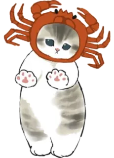 🦀 gato, caranguejo, animal, fofo, desenho animado, animal de estimação telegram sticker