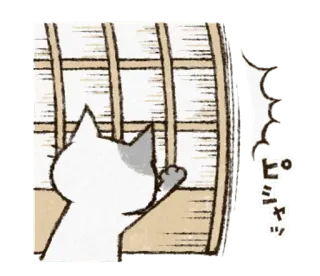 🗣 ミツダメ kot, anime, naklejka, patrzący, okno telegram sticker