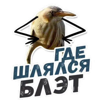 ТАК БЛЭТ @StikeryTG telegram stickers