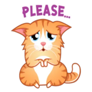 🙄 PLEASE... 고양이, 귀여운, 애원하는, 슬픈, 구걸하는, 만화 telegram sticker