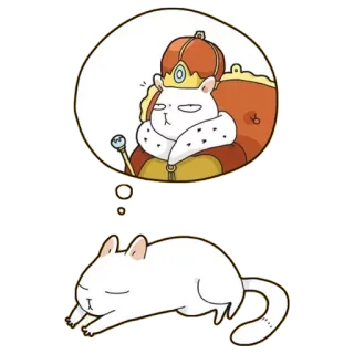 👑 gato, animal, rei, sonho, coroa, animal de estimação whatsapp sticker