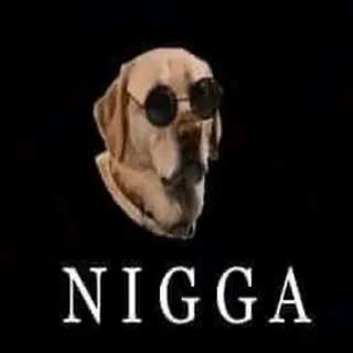 🇳🇬 NIGGA pies, obraźliwe, obelga, okulary przeciwsłoneczne, mem whatsapp sticker