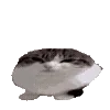 cats ➜ @emoji1 telegram emojis 🥚