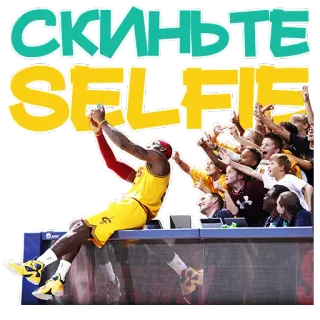 👩 Скиньте
SELFIE Selfie, Pallacanestro, LeBron James, Folla, Sport telegram sticker