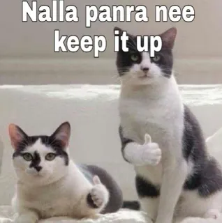 😂 Nalla panra nee keep it up gato, polegar para cima, incentivo, positivo, meme telegram sticker