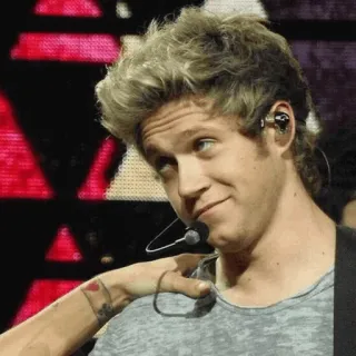✨ Niall Horan นักดนตรี, นักร้อง, One Direction, คนดัง telegram sticker