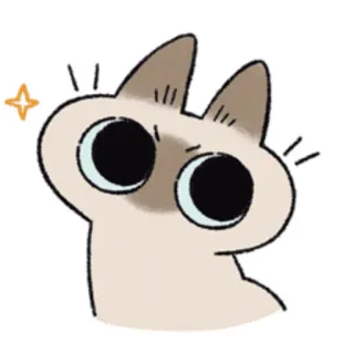 😎 cat, cute, animal, sticker, meme, funny telegram sticker