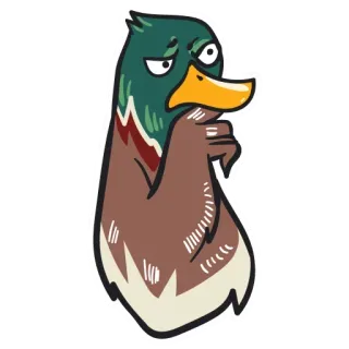 😢 pato, dibujos animados, animal, pájaro, divertido, pensando whatsapp sticker