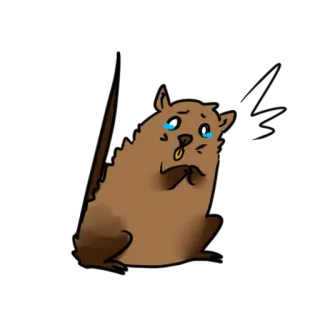 😱 whatsapp sticker