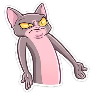 😳 cat, funny, angry, meme, animal, cartoon telegram sticker