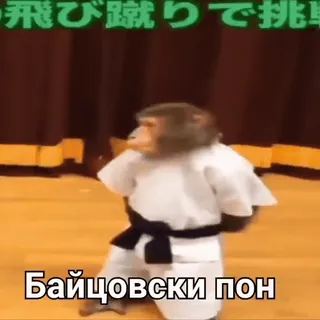 😅 飛び蹴りで挑戦 Kampfsport, Affe, Karate, Tier, Lustig telegram sticker