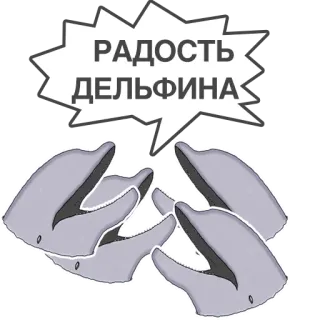 🇺🇳 РАДОСТЬ ДЕЛЬФИНА delfín, alegría, ruso, animal, mar, mamífero whatsapp sticker