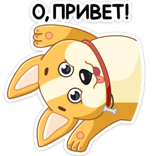 👋 О, ПРИВЕТ! chien, salutation, russe, bonjour, corgi, mignon, animal whatsapp sticker