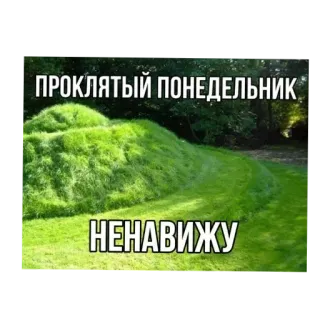 Больше стиков тут: @stikery4 whatsapp stickers