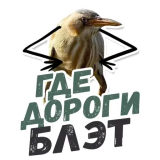 🚗 ГДЕ ДОРОГИ БЛЭТ 鸟, 表情包, 俄语, 冒犯 telegram sticker